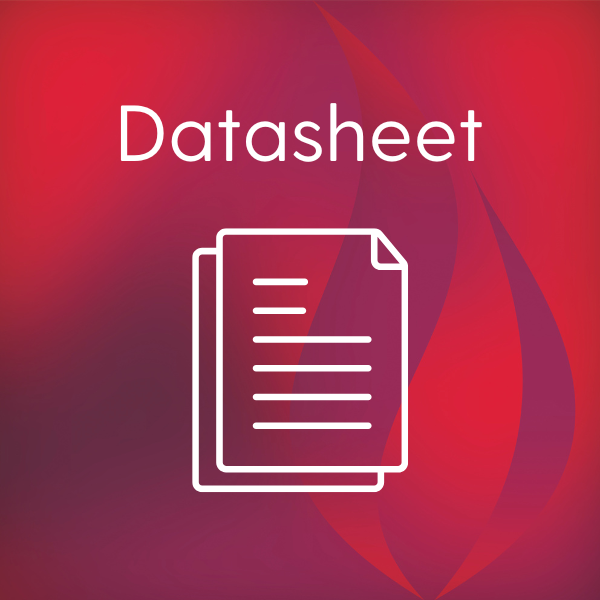 Fireray One Datasheet (EN) 