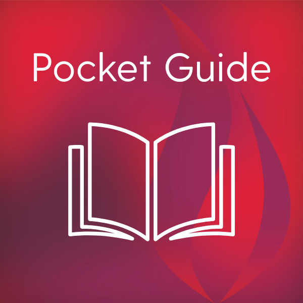 Fireray Pocket Guide (EN) 