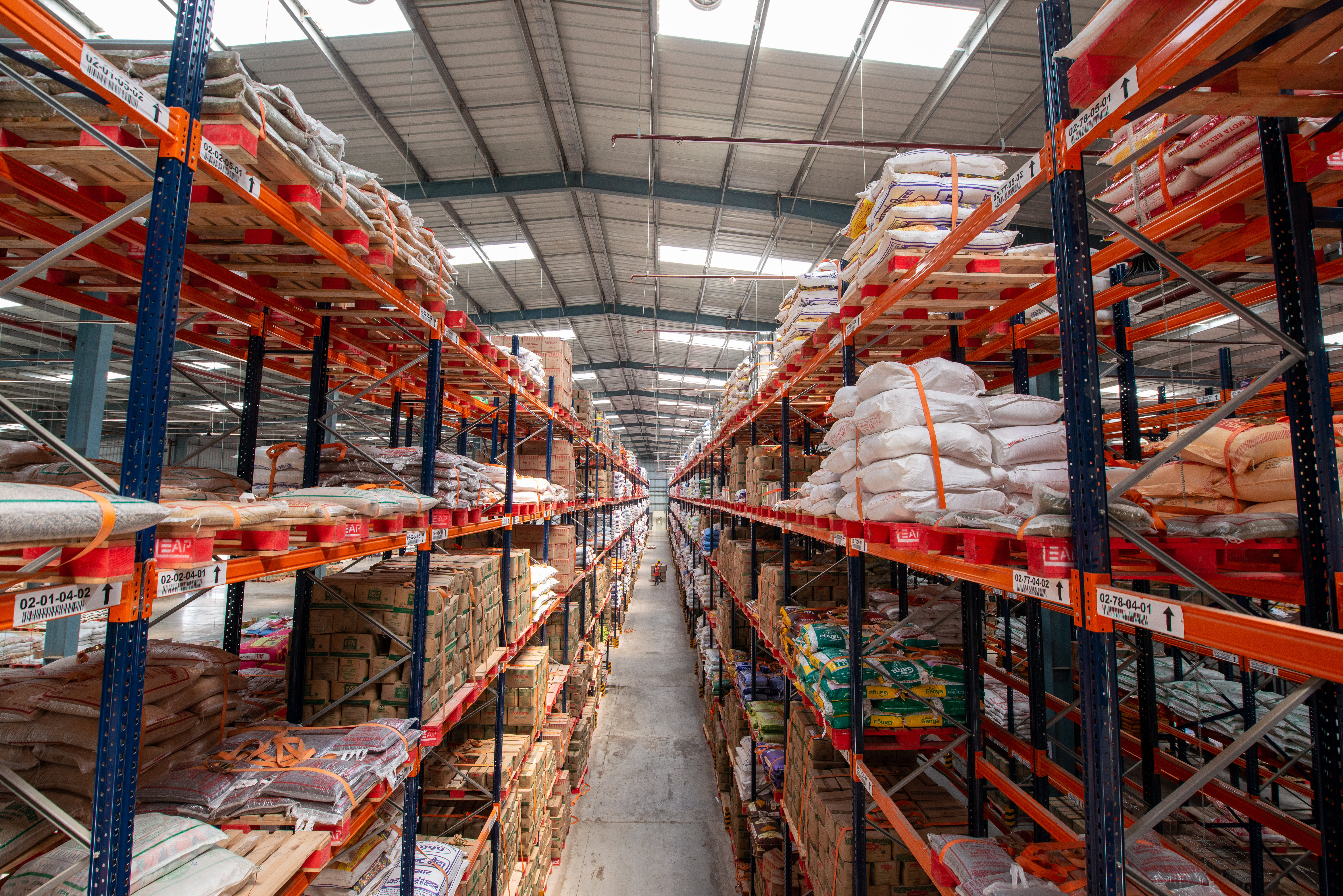 shutterstock_1981782272