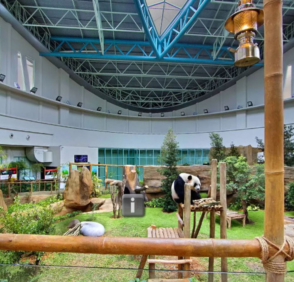 Case Studies | Zoo Negara, Malaysia | Real-World Fire Detection Case Study